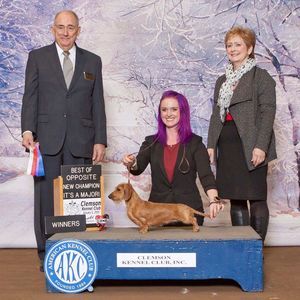 Meet your Posher, Rozalynn